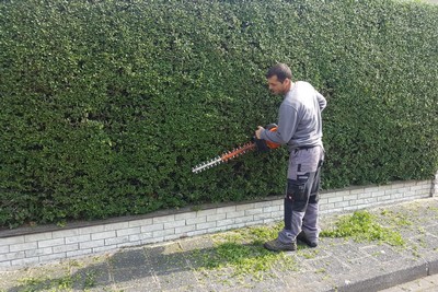 Heckenschneiden Heckenschneiden