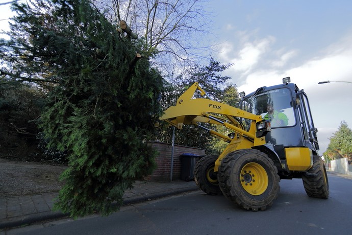 Gartenpflege und Baumfällarbeiten Gartenpflege und Baumfällarbeiten